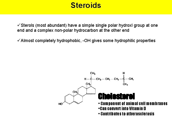 Steroids üSterols (most abundant) have a simple single polar hydroxl group at one end