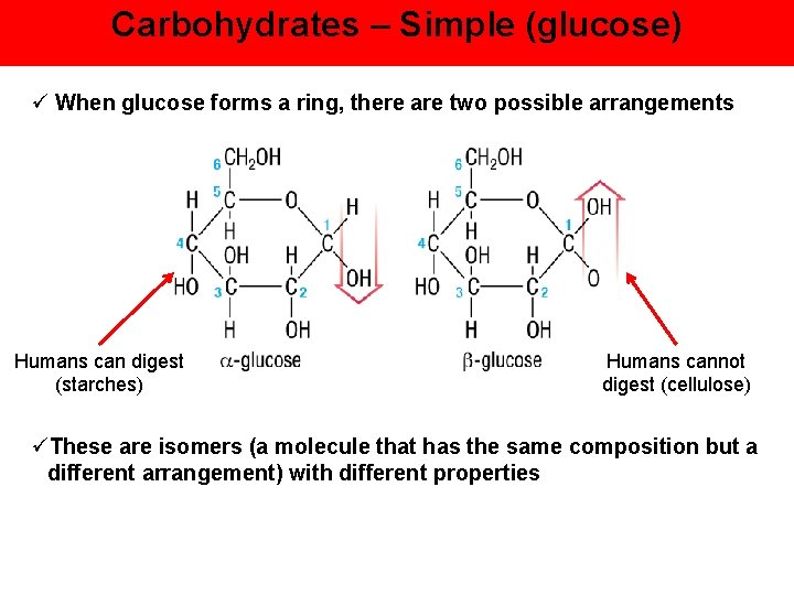 Carbohydrates – Simple (glucose) ü When glucose forms a ring, there are two possible