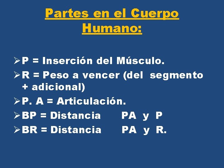 Partes en el Cuerpo Humano: Ø P = Inserción del Músculo. Ø R =