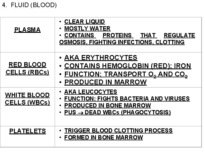 4. FLUID (BLOOD) PLASMA RED BLOOD CELLS (RBCs) WHITE BLOOD CELLS (WBCs) PLATELETS •