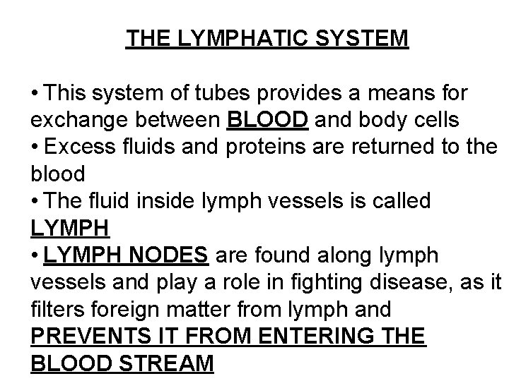 THE LYMPHATIC SYSTEM • This system of tubes provides a means for exchange between