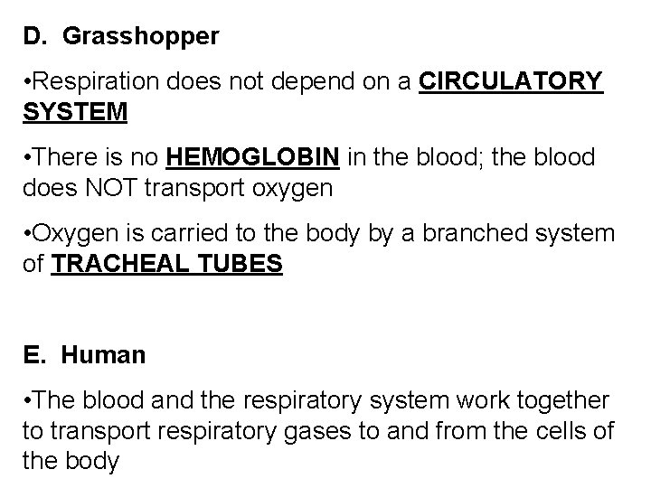 D. Grasshopper • Respiration does not depend on a CIRCULATORY SYSTEM • There is