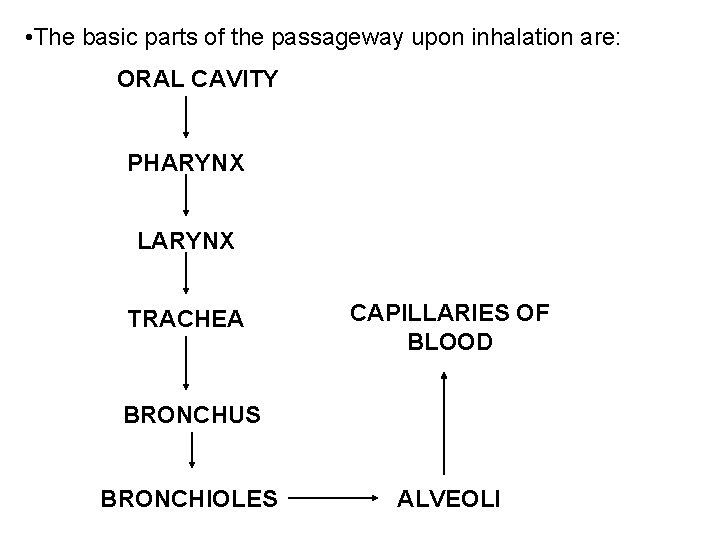  • The basic parts of the passageway upon inhalation are: ORAL CAVITY PHARYNX