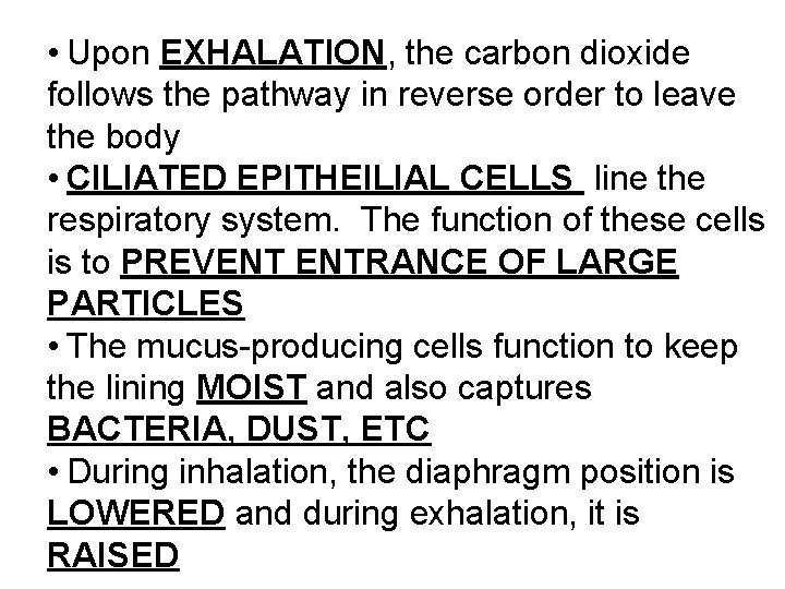  • Upon EXHALATION, the carbon dioxide follows the pathway in reverse order to