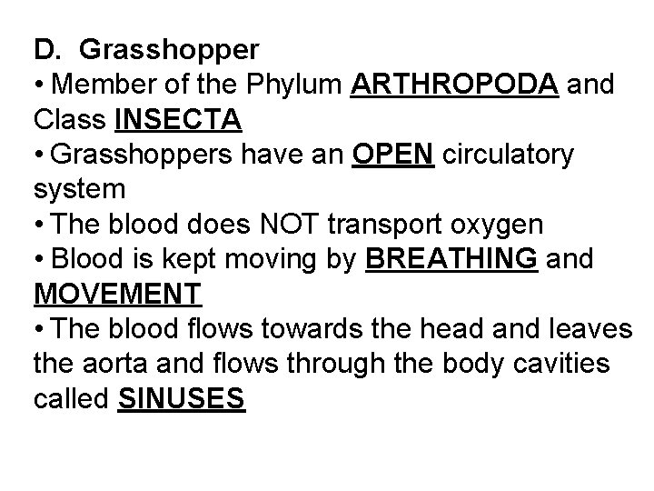 D. Grasshopper • Member of the Phylum ARTHROPODA and Class INSECTA • Grasshoppers have