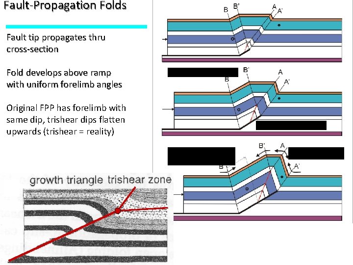 Fault-Propagation Folds Fault tip propagates thru cross-section Fold develops above ramp with uniform forelimb