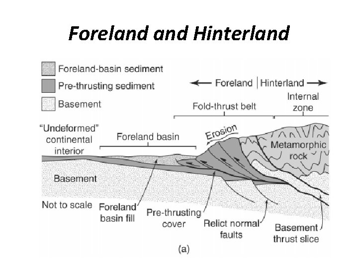 Foreland Hinterland 