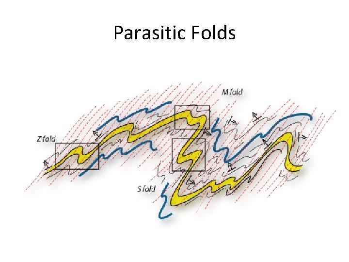 Parasitic Folds 