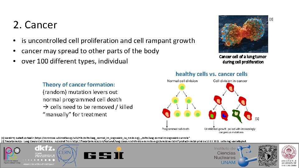 [2] 2. Cancer • is uncontrolled cell proliferation and cell rampant growth • cancer