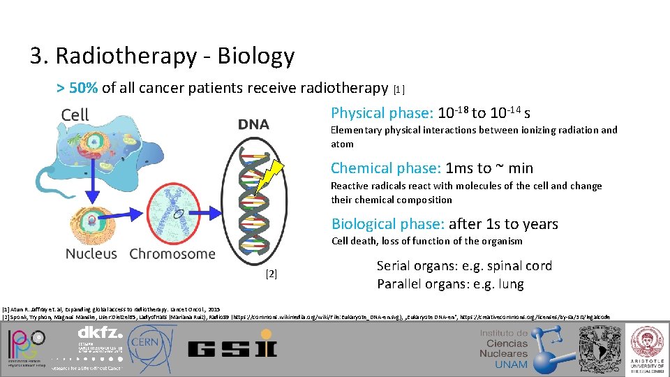 3. Radiotherapy - Biology > 50% of all cancer patients receive radiotherapy [1] Physical