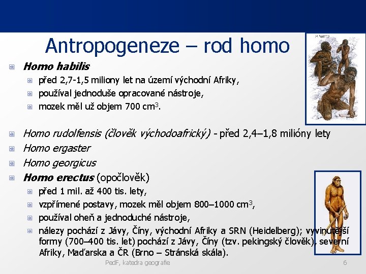 Antropogeneze – rod homo Homo habilis před 2, 7 -1, 5 miliony let na