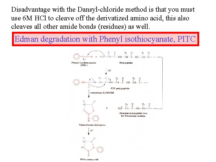 Disadvantage with the Dansyl-chloride method is that you must use 6 M HCl to