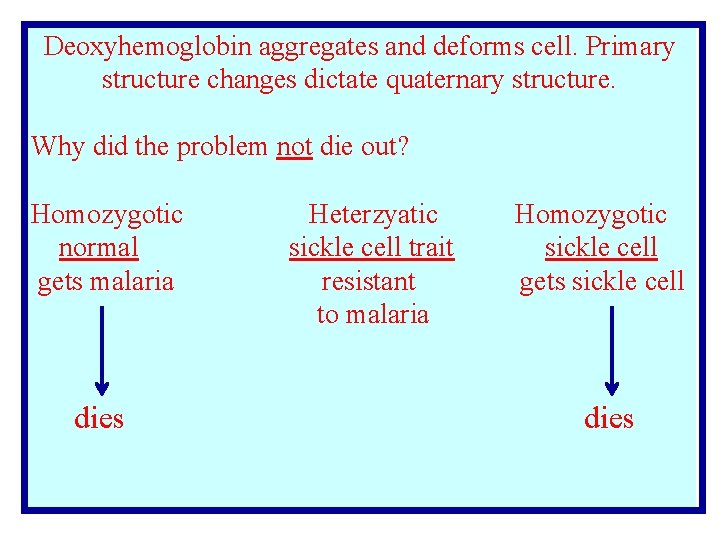 Deoxyhemoglobin aggregates and deforms cell. Primary structure changes dictate quaternary structure. Why did the