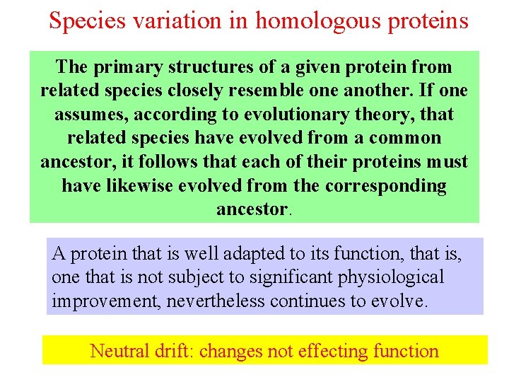 Species variation in homologous proteins The primary structures of a given protein from related