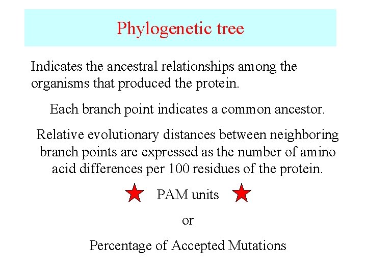 Phylogenetic tree Indicates the ancestral relationships among the organisms that produced the protein. Each