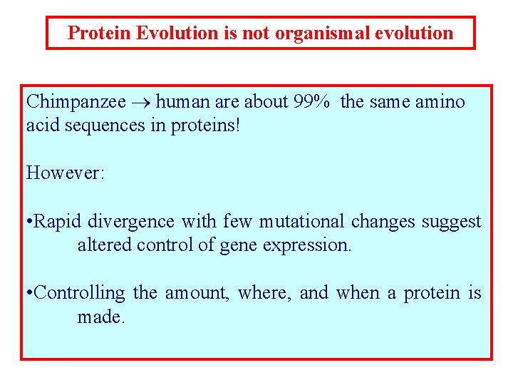 Protein Evolution is not organismal evolution Chimpanzee human are about 99% the same amino