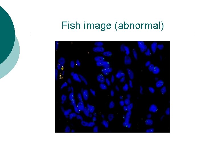 Fish image (abnormal) 