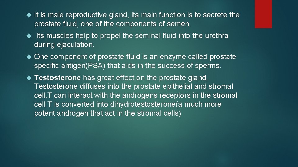  It is male reproductive gland, its main function is to secrete the prostate