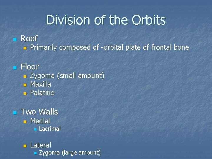 Division of the Orbits n Roof n n Floor n n Primarily composed of