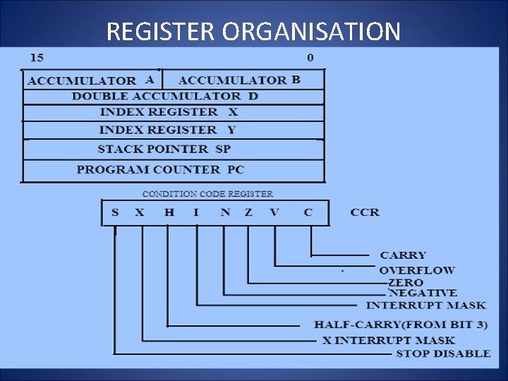 REGISTER ORGANISATION 