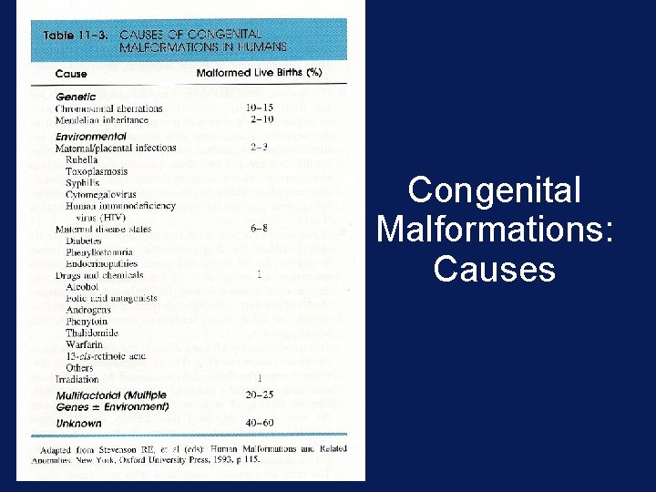 Congenital Malformations: Causes 