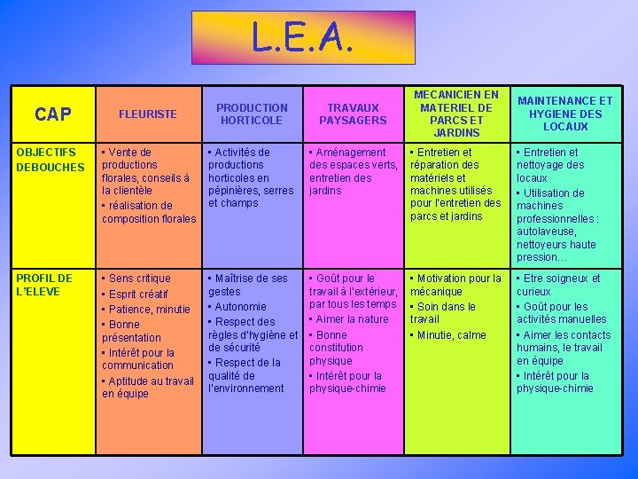 L. E. A. PRODUCTION HORTICOLE TRAVAUX PAYSAGERS MECANICIEN EN MATERIEL DE PARCS ET JARDINS