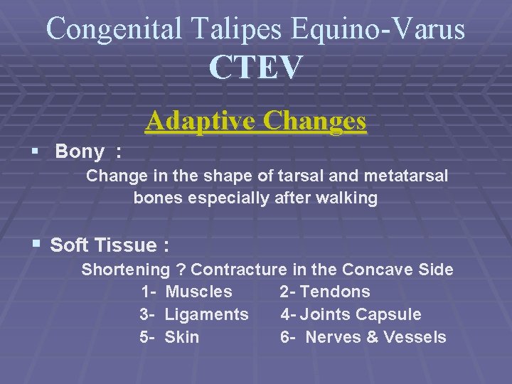 Congenital Talipes Equino-Varus CTEV Adaptive Changes § Bony : Change in the shape of