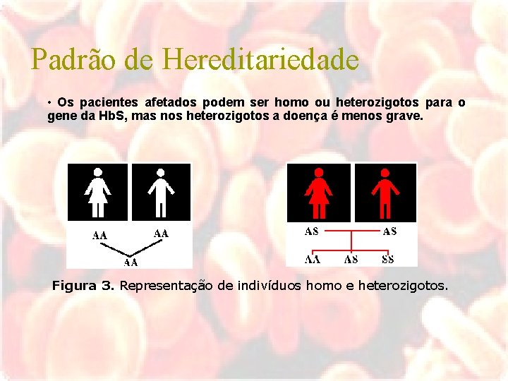 Padrão de Hereditariedade • Os pacientes afetados podem ser homo ou heterozigotos para o