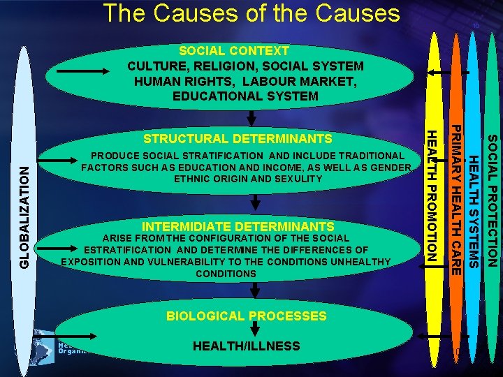 The Causes of the Causes 10 SOCIAL CONTEXT CULTURE, RELIGION, SOCIAL SYSTEM HUMAN RIGHTS,