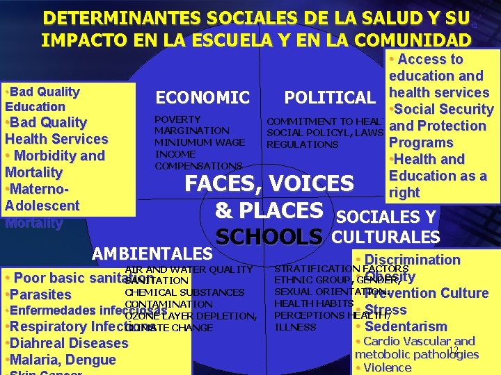 DETERMINANTES SOCIALES DE LA SALUD Y SU IMPACTO EN LA ESCUELA Y EN LA