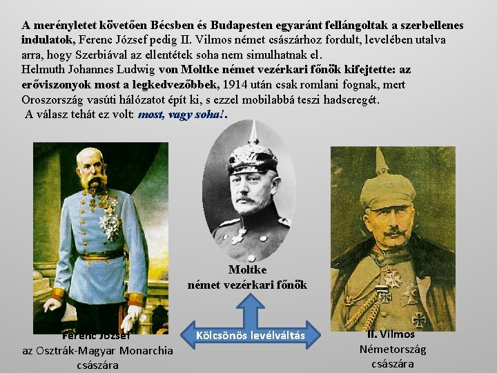 A merényletet követően Bécsben és Budapesten egyaránt fellángoltak a szerbellenes indulatok, Ferenc József pedig