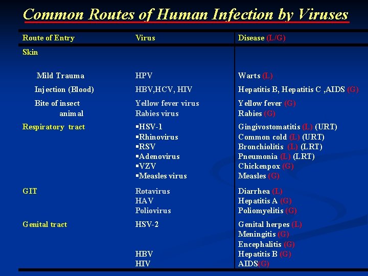 Common Routes of Human Infection by Viruses Route of Entry Virus Disease (L/G) Mild