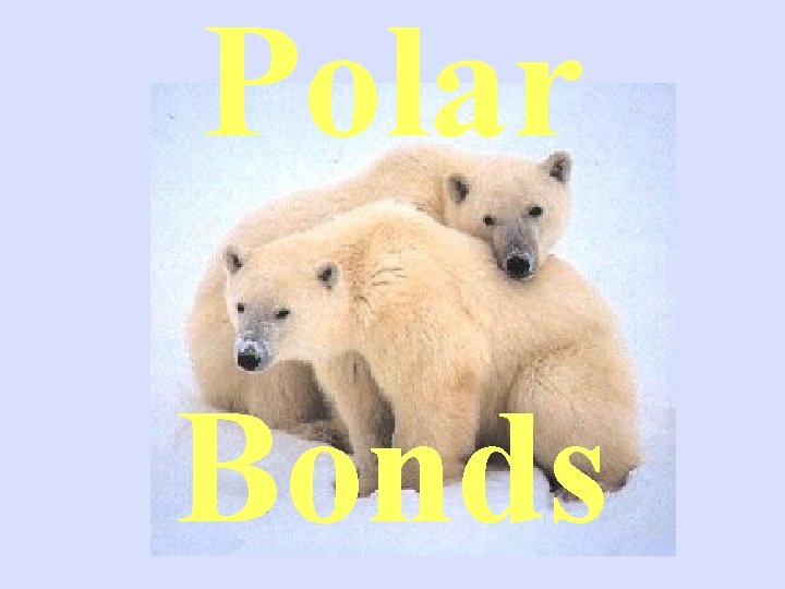 Polar Bonds 