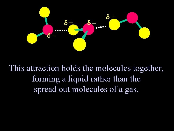  + – This attraction holds the molecules together, forming a liquid rather than