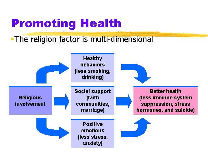 Promoting Health §The religion factor is multi-dimensional Healthy behaviors (less smoking, drinking) Religious involvement