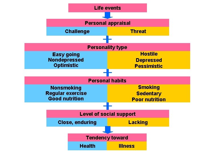 Life events Personal appraisal Challenge Threat Personality type Hostile Depressed Pessimistic Easy going Nondepressed