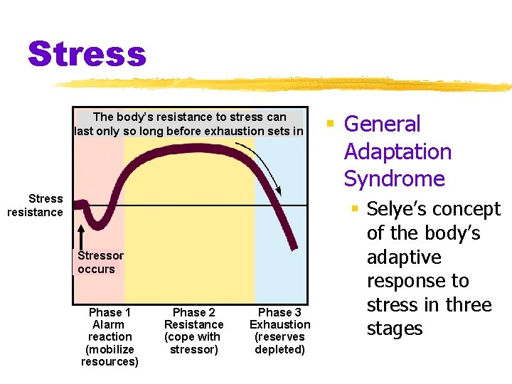 Stress The body’s resistance to stress can last only so long before exhaustion sets