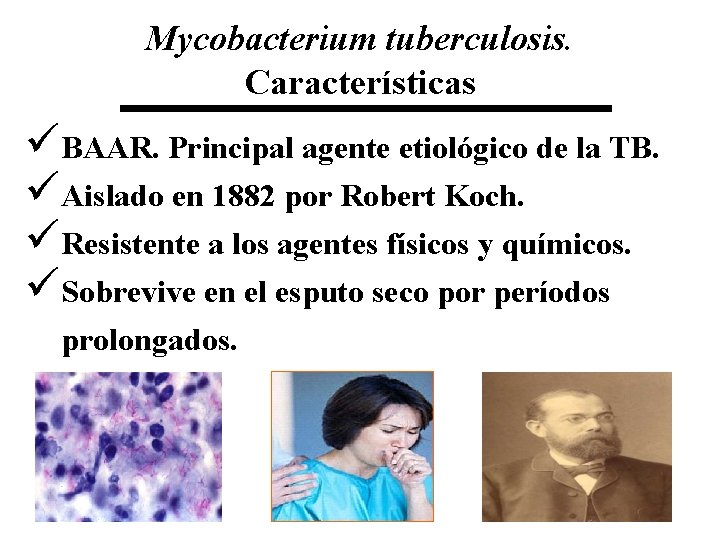 Mycobacterium tuberculosis. Características üBAAR. Principal agente etiológico de la TB. üAislado en 1882 por