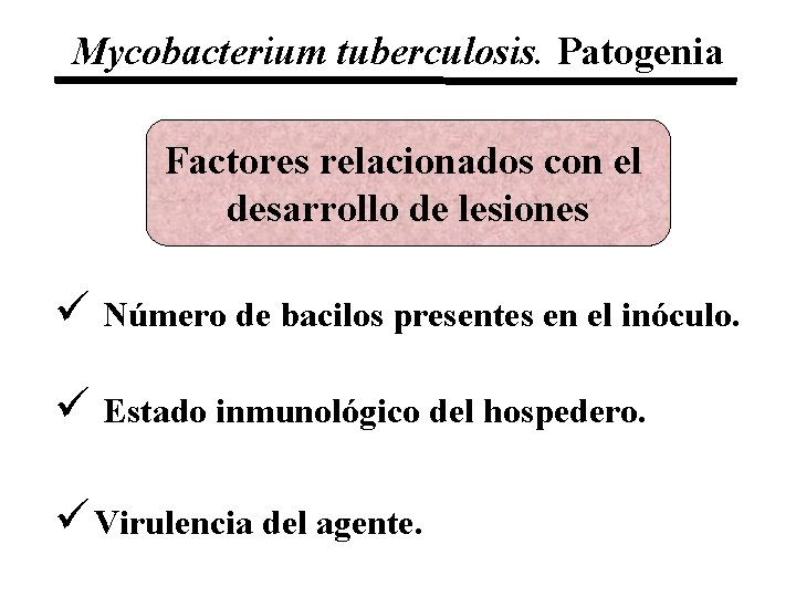 Mycobacterium tuberculosis. Patogenia Factores relacionados con el desarrollo de lesiones ü Número de bacilos