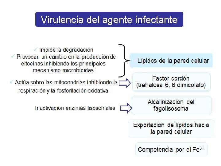 Virulencia del agente infectante 