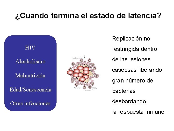 ¿Cuando termina el estado de latencia? Replicación no HIV Alcoholismo Malnutrición restringida dentro de