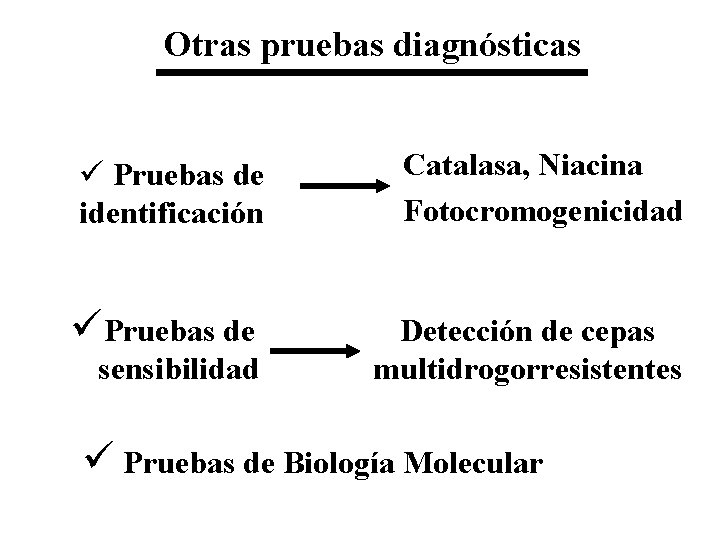 Otras pruebas diagnósticas ü Pruebas de identificación Catalasa, Niacina Fotocromogenicidad üPruebas de Detección de