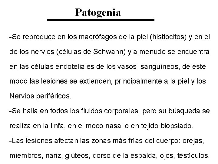 Patogenia -Se reproduce en los macrófagos de la piel (histiocitos) y en el de