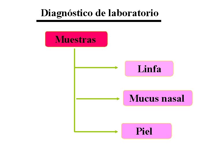 Diagnóstico de laboratorio Muestras Linfa Mucus nasal Piel 