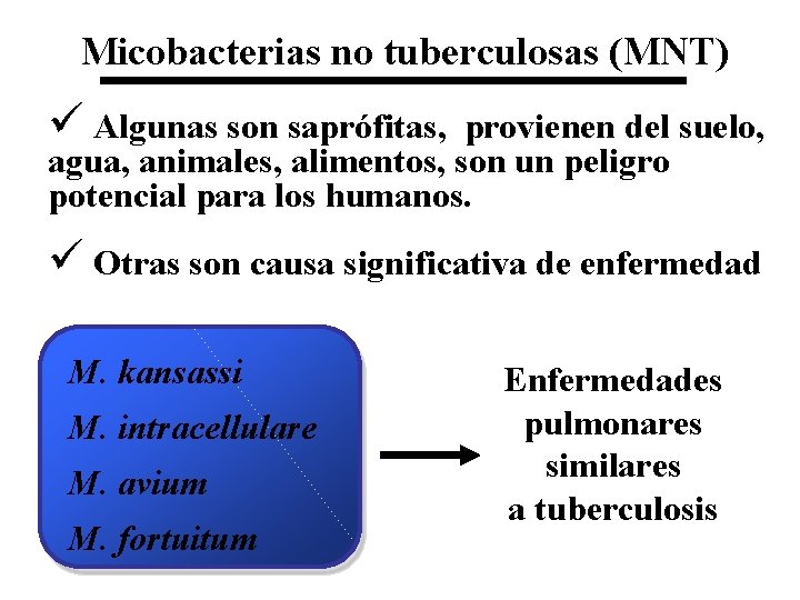 Micobacterias no tuberculosas (MNT) ü Algunas son saprófitas, provienen del suelo, agua, animales, alimentos,