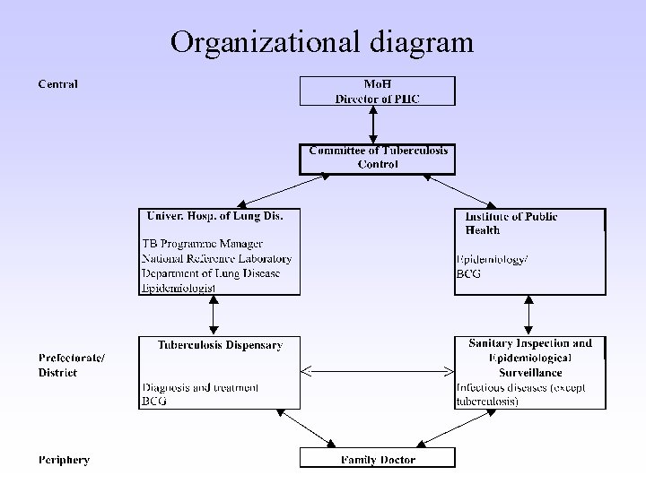 Organizational diagram 