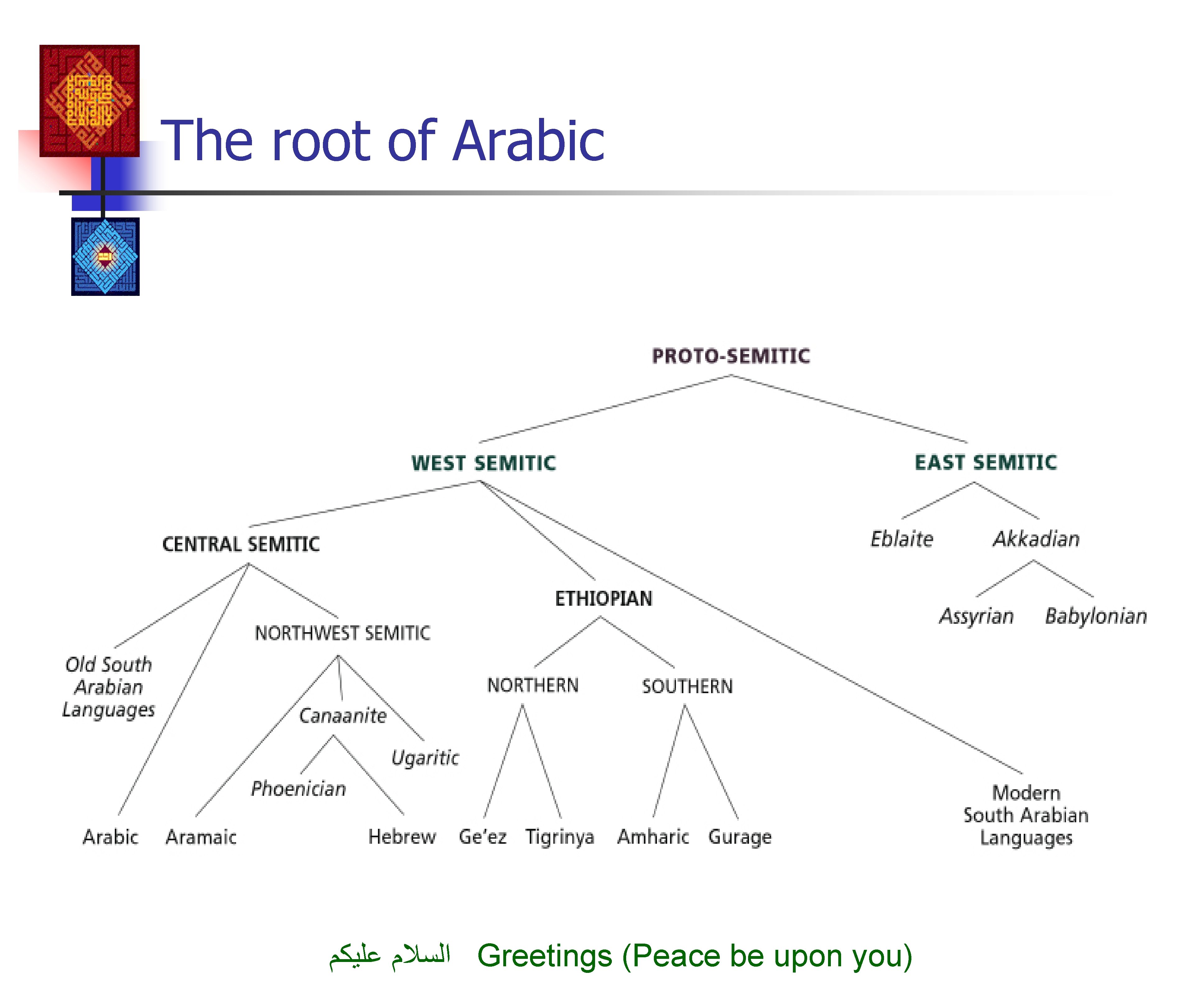 The root of Arabic ﺍﻟﺴﻼﻡ ﻋﻠﻴﻜﻢ Greetings (Peace be upon you) 