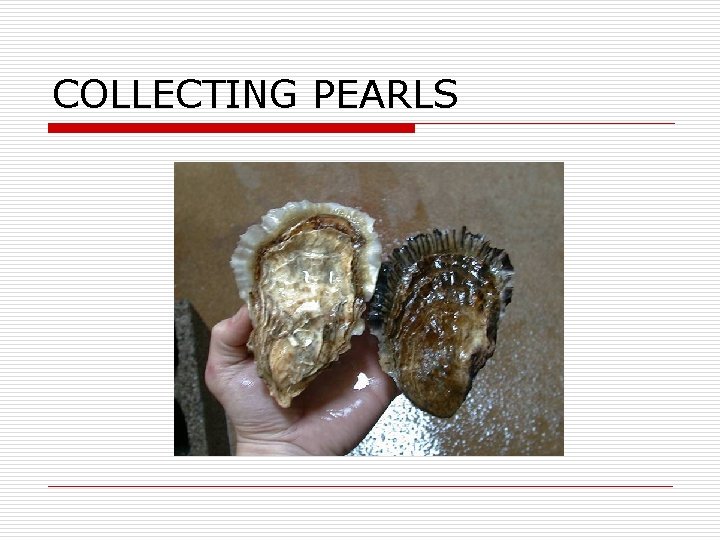 COLLECTING PEARLS 