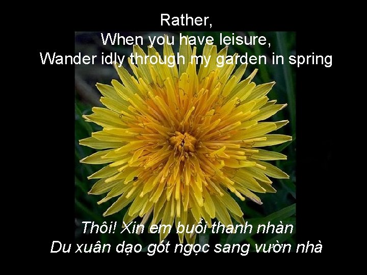 Rather, When you have leisure, Wander idly through my garden in spring Thôi! Xin