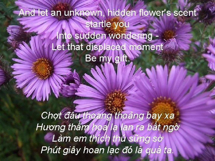 And let an unknown, hidden flower's scent startle you Into sudden wondering Let that